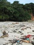 The famous nude beach "Playa Nudista" on Contadora, sadly blemished with trash washed ashore.