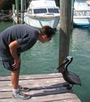 Greg having a serious "man to pelican" chat with the bird who kept stealing our fish (right out of the bucket!)