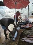 The only fresh fish on the island is bought from these local fishermen.