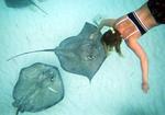 Cherie touching the velvet-smooth skin of a Southern stingray.
*Photo by Tom.