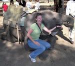 Kristi give the elephant another snack.