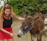 Cherie feeds the donkey at "The Last Resort."