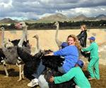 Cherie riding an Ostrich in South Africa.