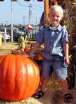 Who weighs more?  Tanner or the pumpkin.