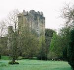 Of course the Blarney Stone is all the way at the top!