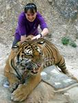 Kirsty and the tiger.