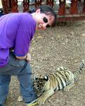 The tiger cub grabs onto Kirsty's leg.