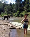 Choices to the next village: Bamboo raft or elephant?
