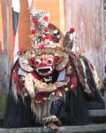 His feet don't stink!  The mythical Barong dances in a traditional Balinese performance.