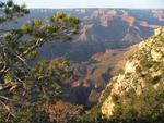 The Grand Canyon is both lush and barren at the same time.