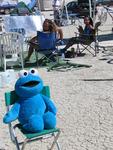 Cookie Monster chilling out in front of our camp.