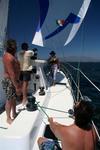 Hold onto that puff! Dustin on the spinnaker sheet. *Photo by Karen Vaccaro S/V Miela.