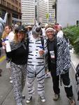 Zebras in San Francisco.