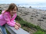 Ellie entertained by the elephant seals.