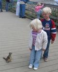 Squirrel friends.