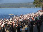 Swimmers crowd the lakeshore.