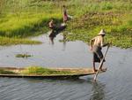 There are many reasons why people say the Intha people paddle with their legs (instead of with their arms.)