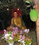 The Buddha and the breadfruit.