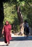 A monk walks down the road to Mt. Popa.
