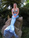 Come and visit the wonderful mermaids at Weeki Wachee!