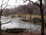 Winter in NY's Central Park.