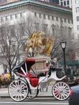 Ready for a carriage ride through NY's Central Park?