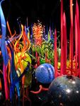 Eleven galleries of Dale Chihuly glass art can be found until September 28th at the de Young Museum in San Francisco, CA.  Don't miss it!