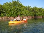 Greg kayaking in the mangroves.