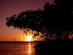 Sunset in the mangroves.