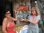 Cherie's Choice Key West Pub Crawl started at the Hogfish on Stock Island.  Drink #0, time 2:00pm.